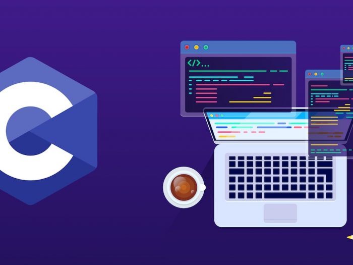 Fiche métier Développeur C